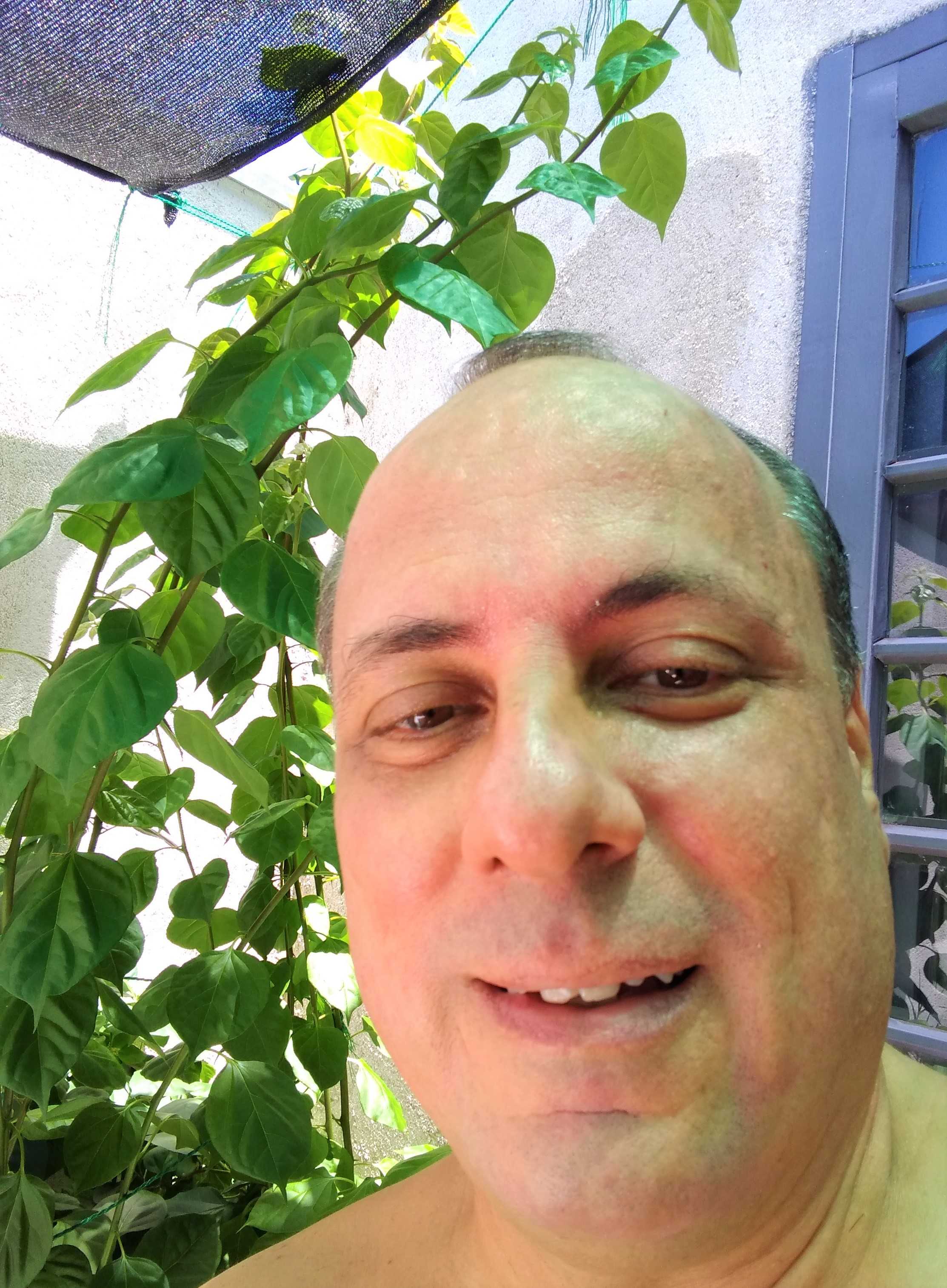 Silvio Junior